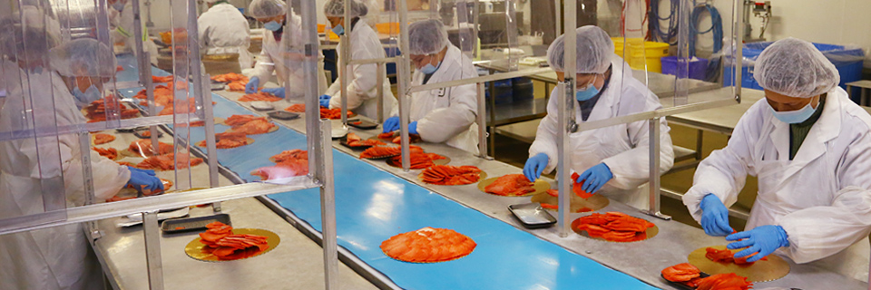 Processing Plant | Delta Pacific Seafoods Processing